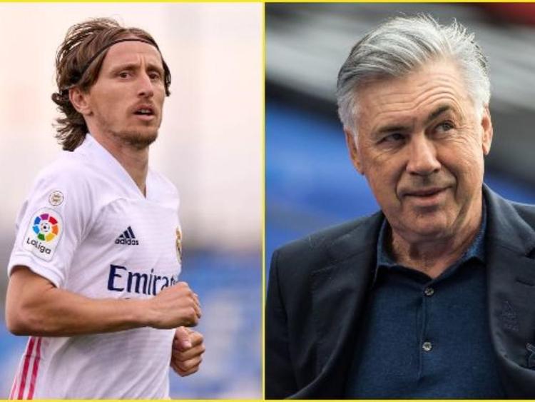 的种子选手 的种子选手