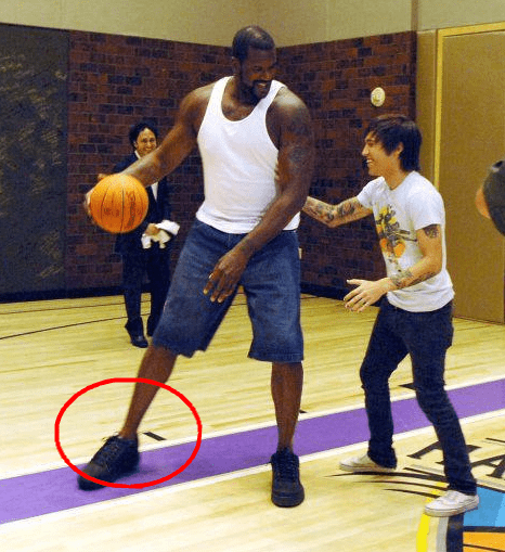 LB输送新 LB输送新